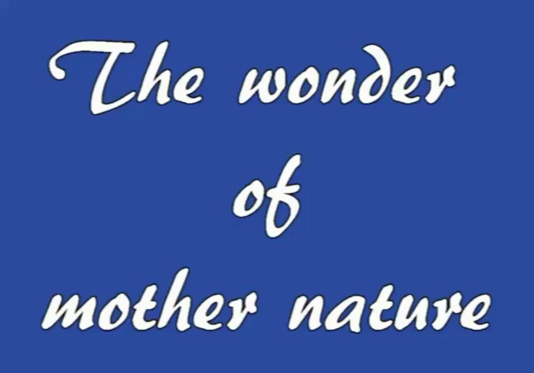 The wonder of mother nature